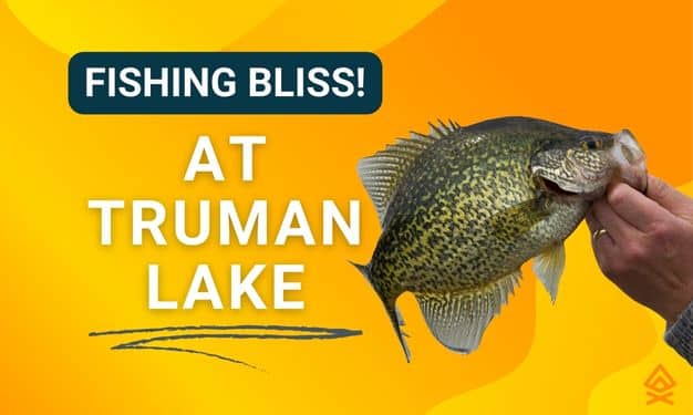 Fishing Bliss: Why Truman Lake,Missouri Tops the Charts